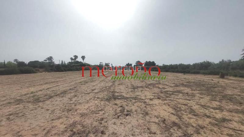 Foto 96c175e7-2aa5-466f-a866-66e502db54e3. Wohngrundstück in Algorós - El Derramador Elche / Elx