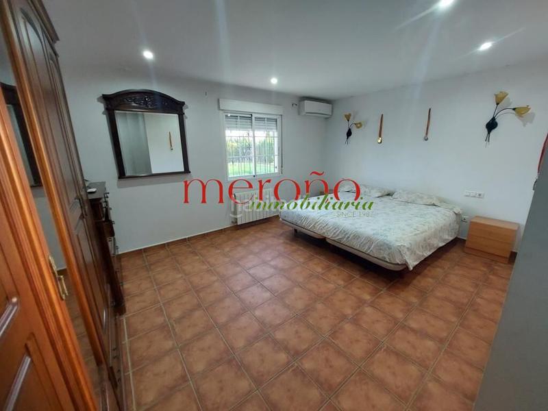 Foto 8f140521-4ed0-4234-84af-59a0ce0e7edf. Lloguer xalet amb calefacció piscina a La Algoda - Matola - Llano de San José Elche / Elx