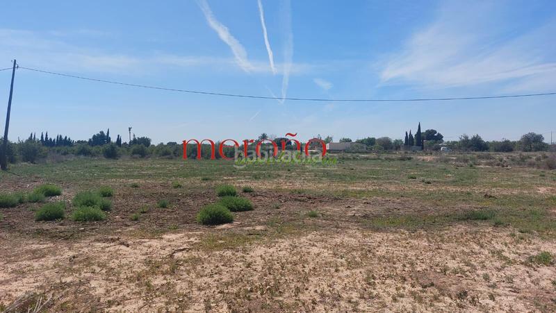 Foto 080507d4-d0ef-43c5-b074-11772126d94c. Terreny residencial a Torrellano Elche / Elx
