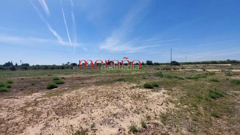 Foto 3393f075-248e-4390-955c-099b63c8cc06. Terreny residencial a Torrellano Elche / Elx