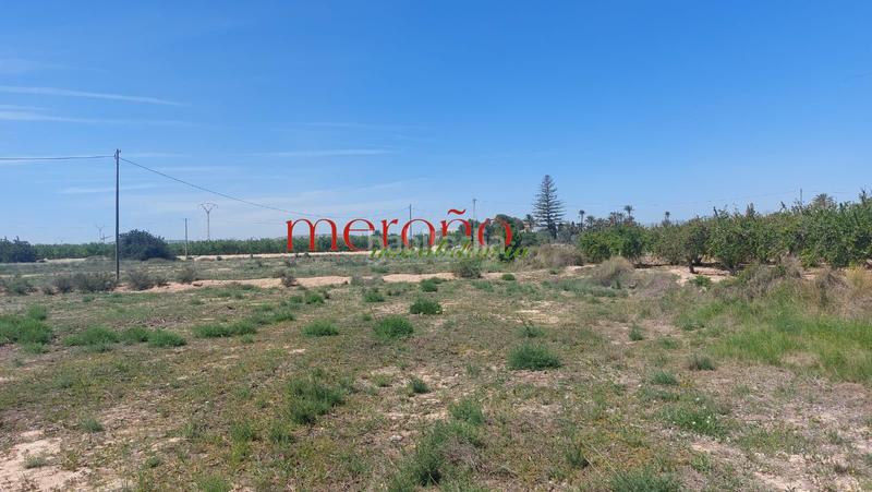 Foto 6cb206af-437c-4926-8df5-496dec4288ad. Terreny residencial a Torrellano Elche / Elx