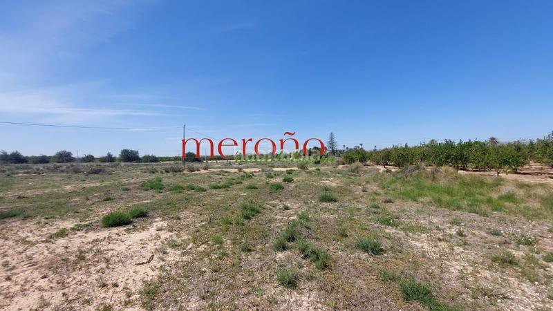 Foto c85dfff1-0b3a-40f3-a8bf-9dd49612856b. Terreny residencial a Torrellano Elche / Elx