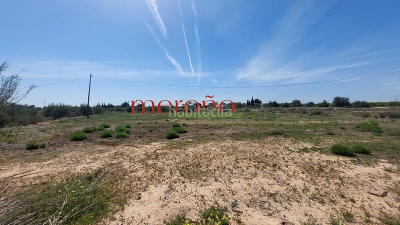 Foto d6911cab-c632-497c-a060-0460296e9eb0. Terreny residencial a Torrellano Elche / Elx