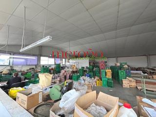 Lloguer Nau industrial a Jubalcoi. Nave venta poligono torrellano