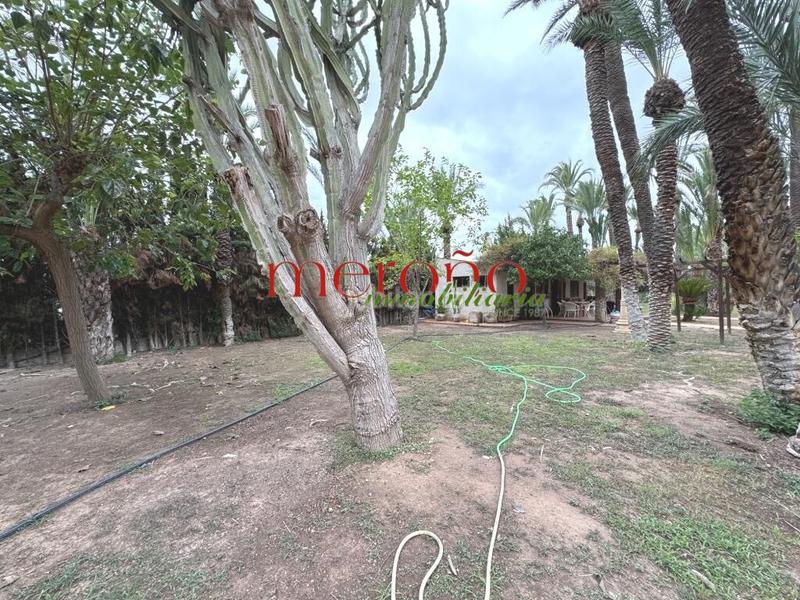 Foto 29bb5cee-c5bb-4d2f-b863-c3ececf4c865. Xalet amb aparcament piscina a Alzabares Elche / Elx