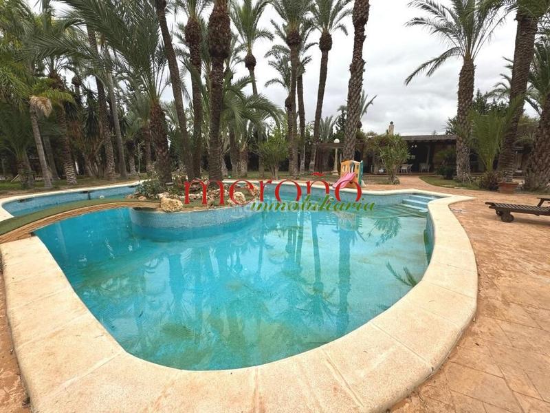 Foto 7d016573-19f6-47d3-9b19-6c11a056bbf9. Xalet amb aparcament piscina a Alzabares Elche / Elx