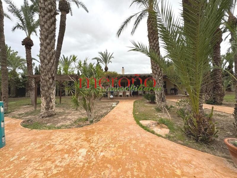 Foto 84a0f6c3-a3fb-4521-b91b-f024a1fb893c. Xalet amb aparcament piscina a Alzabares Elche / Elx