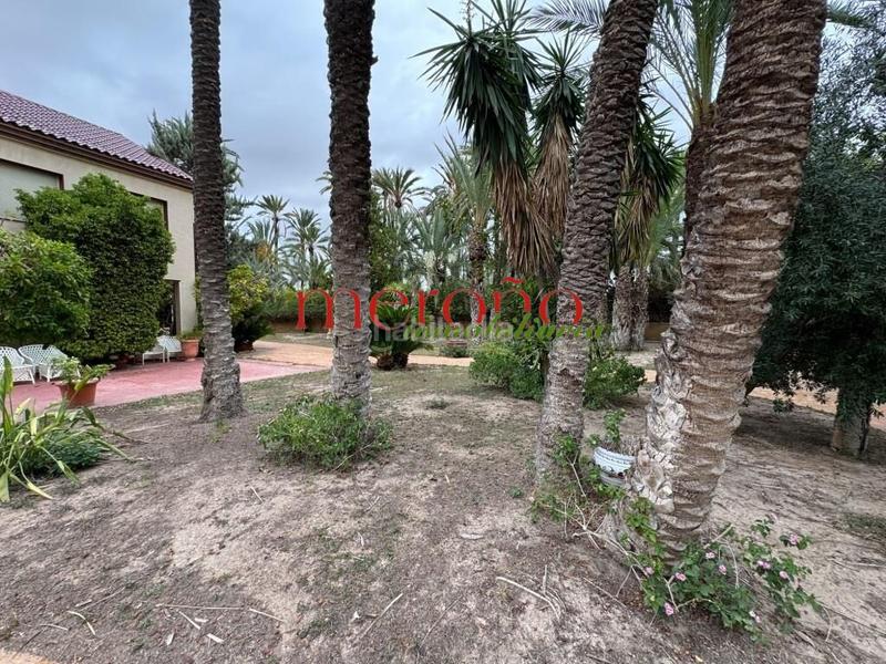 Foto a6a9b96b-b612-4d73-a599-cb42e61c6b9b. Xalet amb aparcament piscina a Alzabares Elche / Elx