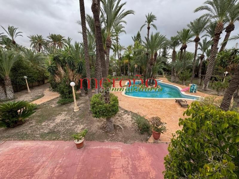 Foto c38f9ce3-10df-439d-bee4-96c0c33775a8. Xalet amb aparcament piscina a Alzabares Elche / Elx