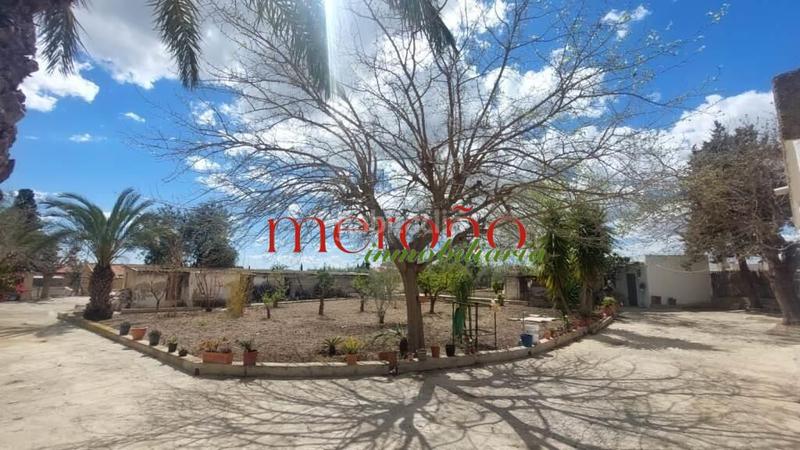 Foto 658f3d2e-d80c-46ee-bee9-cec0d7a4762e. Casa campo la galia en Jubalcoi Elche / Elx