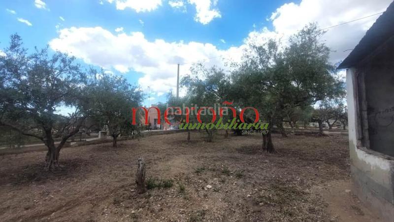 Foto 997ed2b5-7749-40d7-8ae7-8535b3a33ebd. Casa campo la galia en Jubalcoi Elche / Elx