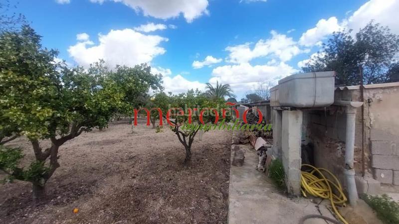 Foto c87b68f0-a4e1-4b53-9e86-f89d8fd2cd0e. Casa campo la galia en Jubalcoi Elche / Elx