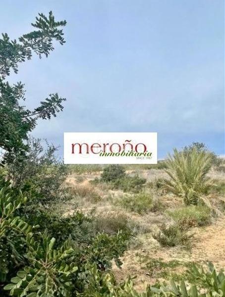 Foto 7257219a-fef0-453f-a86e-853f3935b2c8. Wohngrundstück in Centro Elche / Elx