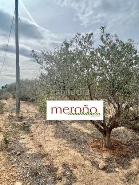 Foto d8dfcb7c-72de-426c-adca-f227e4866b56. Wohngrundstück in Centro Elche / Elx