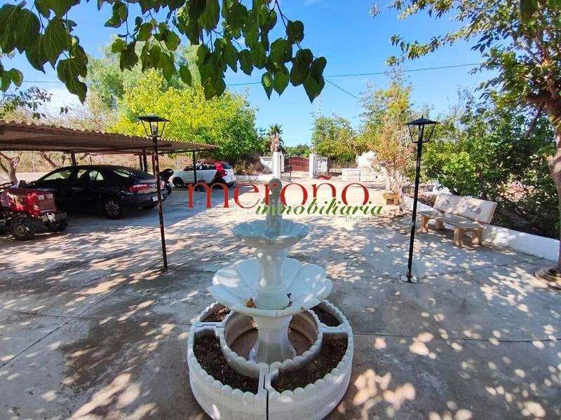 Foto 37288b14-f4ab-4e75-b1a5-b2cd31c4d244. Maison avec parking dans Pedanías Este Aspe