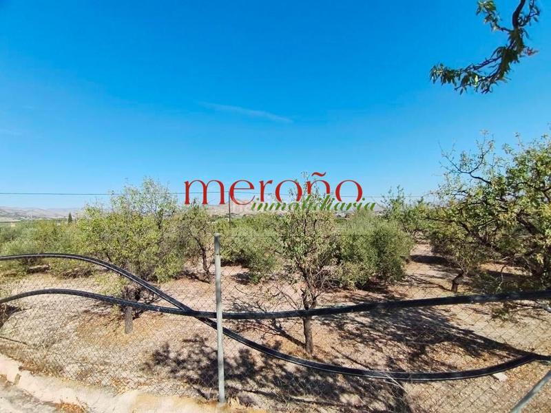 Foto 52ccbb8d-1568-4815-a2d8-6fb1a89fa589. Maison avec parking dans Pedanías Este Aspe