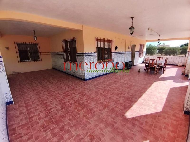 Foto dd34cc9b-5344-42a5-b0e2-388956a16d79. Maison avec parking dans Pedanías Este Aspe