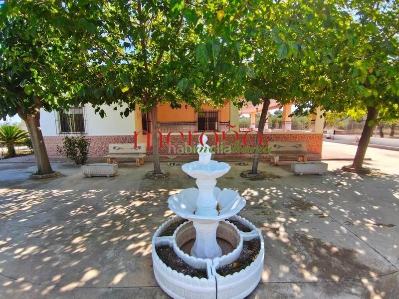 Foto f8b23196-59bd-48af-a6dd-aa594aa54686. Maison avec parking dans Pedanías Este Aspe