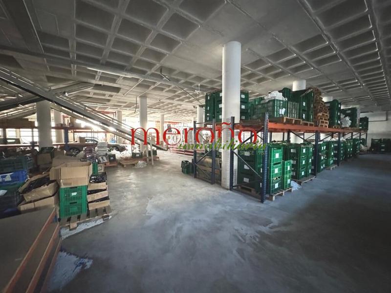 Foto 7be9ebec-53fb-429b-9504-151dfba6af1b. Alquiler nave industrial semisotano poligono torrellano en Elche / Elx