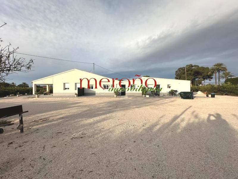 Foto 6fe39950-5362-430f-bbe7-7291148244db. Location chalet dans El Palmeral - San Antón Elche / Elx