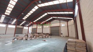 Rent Industrial building in Pedanías Este. Nave poligono 3 hermanas