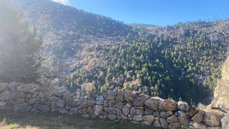 Foto 01e88134-681a-4688-bc7b-da4a3530630d. Casa a Vansa i Fórnols (La)