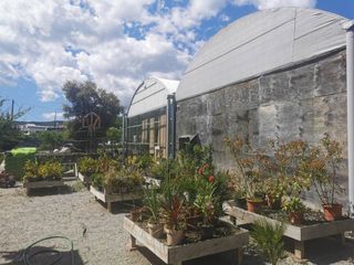 Lloguer Local Comercial a Avenida madrid 60. Garden en pleno funcionamiento en ubicación privilegiada