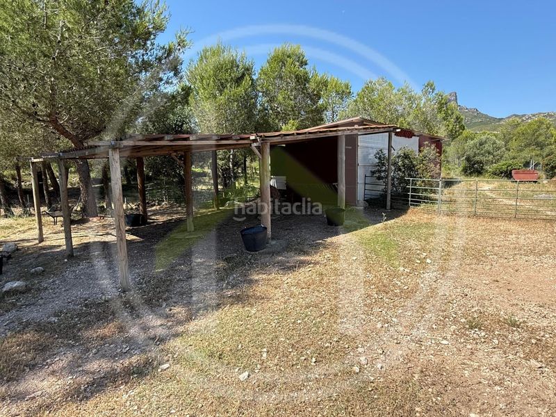 Foto 9042c8e2-a70b-4846-a56e-a0bf83fa8da5. Casa amb calefacció aparcament a Perelló (El)