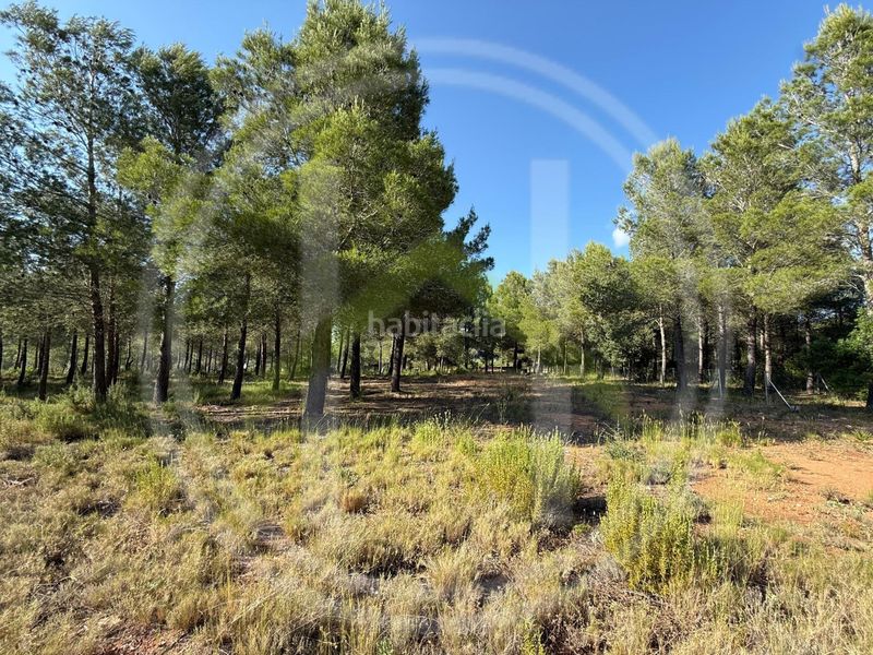 Foto b084ba57-4e21-4be0-a0c7-eb857aa234aa. Casa amb calefacció aparcament a Perelló (El)