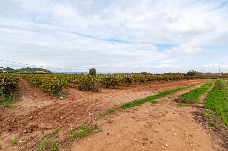 Foto 632ffe66-cbe5-4ae1-8657-e2f8f90baadb. Casa aparellada a Castellet i la Gornal