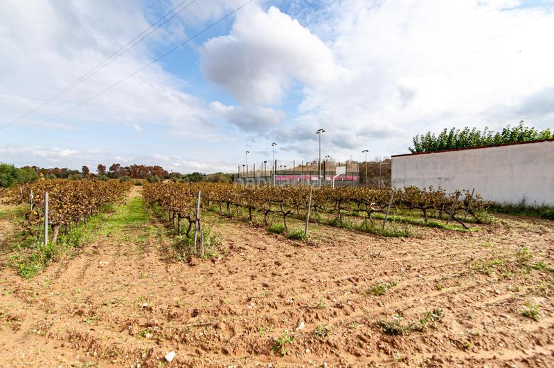 Foto c5d63bfb-8d5d-4f88-befd-7efb6894600e. Casa aparellada a Castellet i la Gornal