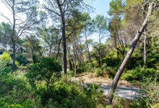Terreno residencial en Carrer del Duc 16