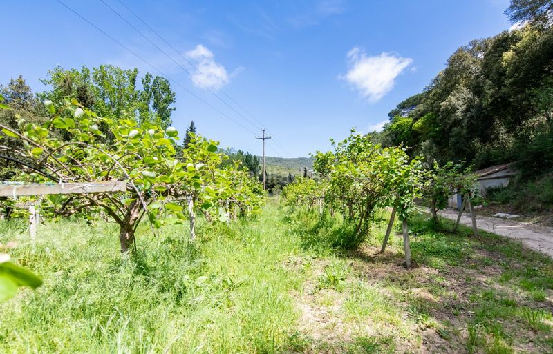 Foto e3e5b714-7625-4a18-b85f-8226807022d1. Casa a El Mirador-La Cornisa Sant Andreu de Llavaneres