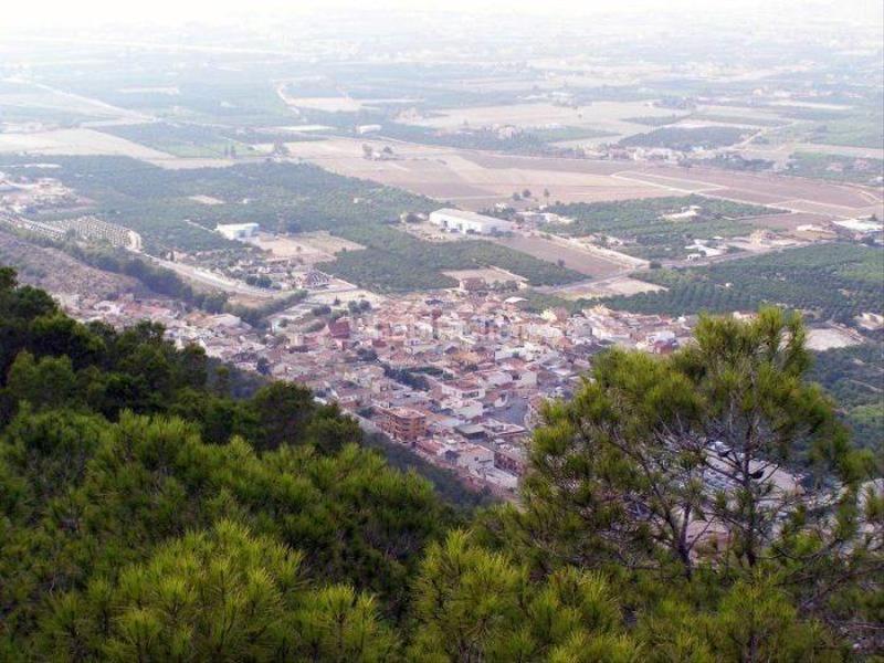 Foto bdf7eac1-58fc-4dd8-8325-d1e6d9fc19fd. Local comercial  restaurante en arneva en Orihuela