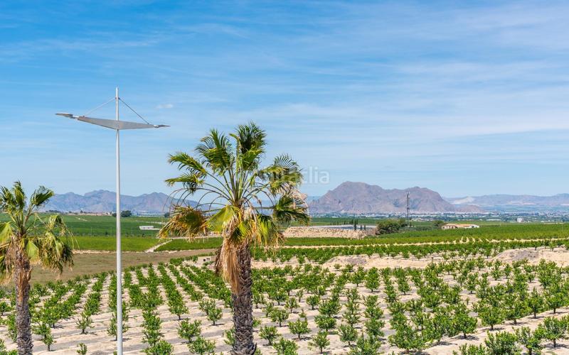 Foto 6c00ce14-1729-40eb-a0a2-b704542d24eb. Chalet  independiente en la finca golf en Algorfa