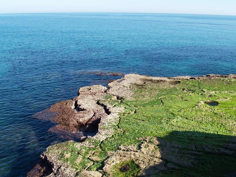 Foto 2c940df0-e95f-485c-aaa3-66f1f5291167. Appartement mit heizung pool in Avenida Habaneras - Curva de Palangre Torrevieja