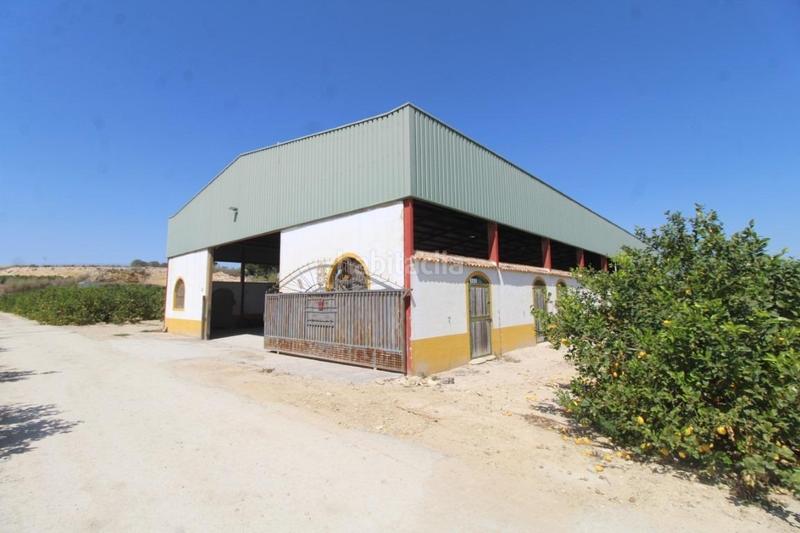 Foto 0c348139-8669-4753-b141-693b481c90d0. Masía finca con explotación agrícola en Desamparados - Hurchillo - Torremendo Orihuela