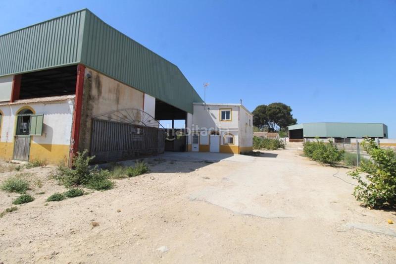 Foto 10b6b561-495e-48c0-ace5-65433578c6b0. Masía finca con explotación agrícola en Desamparados - Hurchillo - Torremendo Orihuela