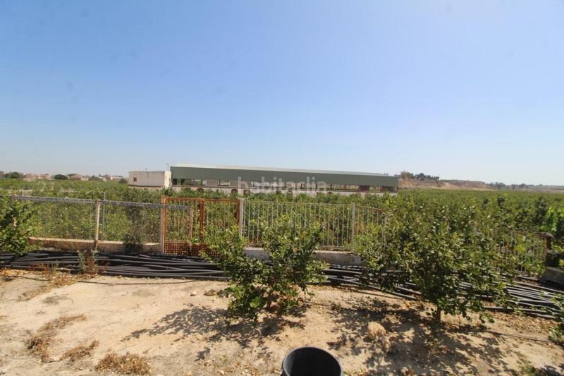 Foto 22b99e0d-cdf6-489a-873e-2b30a0e6eac3. Masía finca con explotación agrícola en Desamparados - Hurchillo - Torremendo Orihuela
