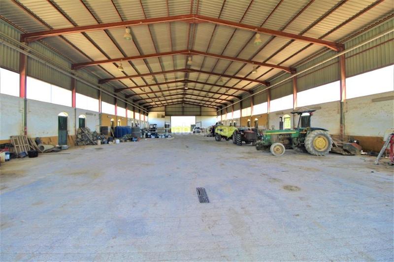 Foto 25113c43-1993-4410-b754-8373b1c87622. Masía finca con explotación agrícola en Desamparados - Hurchillo - Torremendo Orihuela