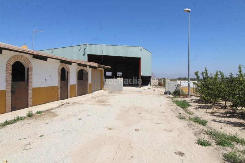 Foto 487808d2-7181-446f-b55a-60e2e0be09cd. Masía finca con explotación agrícola en Desamparados - Hurchillo - Torremendo Orihuela