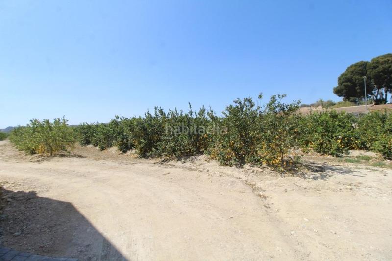 Foto 50dbb2b9-245f-4676-b32f-7854c0cbd7db. Masía finca con explotación agrícola en Desamparados - Hurchillo - Torremendo Orihuela