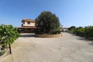 Mas  Carretera a torrevieja. Finca con explotación agrícola