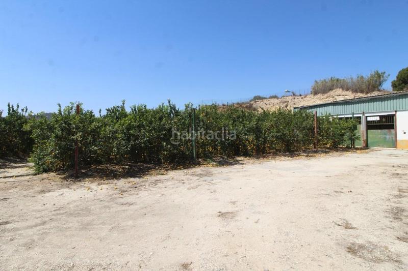 Foto 6ef9a889-4ff1-4036-8670-4ee5eadf87df. Masía finca con explotación agrícola en Desamparados - Hurchillo - Torremendo Orihuela