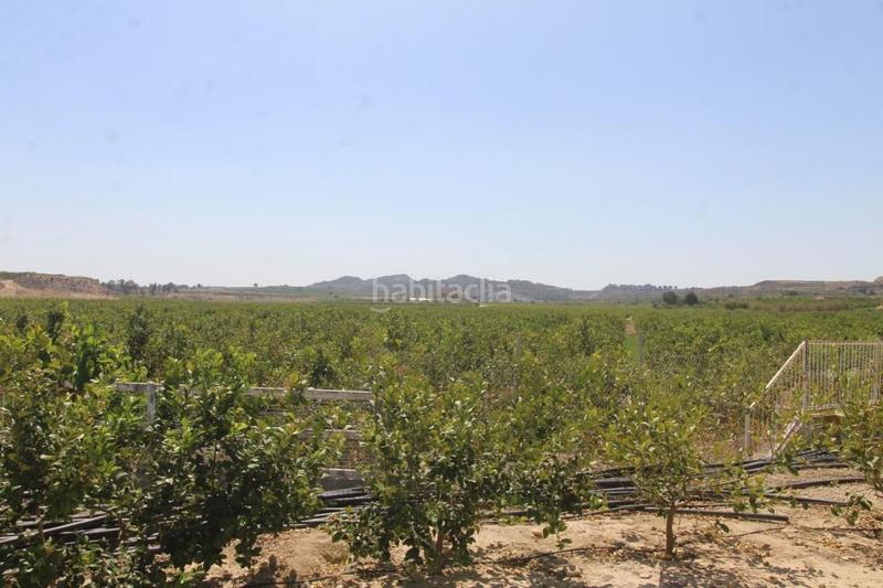 Foto 91e2b77a-893b-4d2b-b804-5f41ed9793fb. Masía finca con explotación agrícola en Desamparados - Hurchillo - Torremendo Orihuela