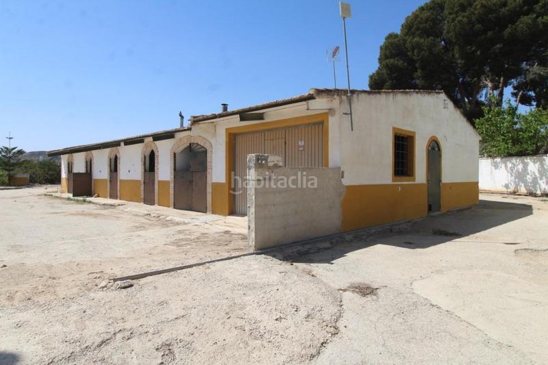 Foto af195845-93c9-42eb-b5a6-33095f399230. Masía finca con explotación agrícola en Desamparados - Hurchillo - Torremendo Orihuela
