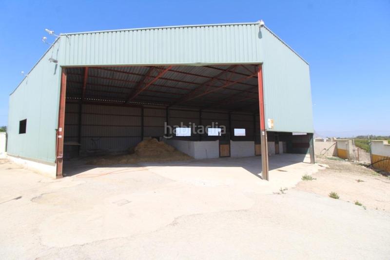 Foto b6560c3d-cc88-4677-bdd8-f758ddacdb15. Masía finca con explotación agrícola en Desamparados - Hurchillo - Torremendo Orihuela