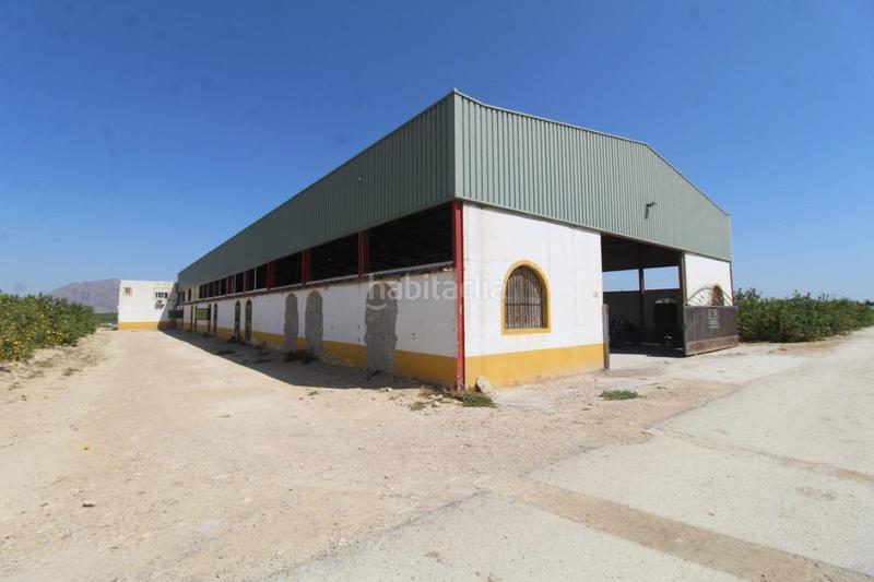 Foto c25fe469-1b2d-4bda-834a-82bf39937742. Masía finca con explotación agrícola en Desamparados - Hurchillo - Torremendo Orihuela