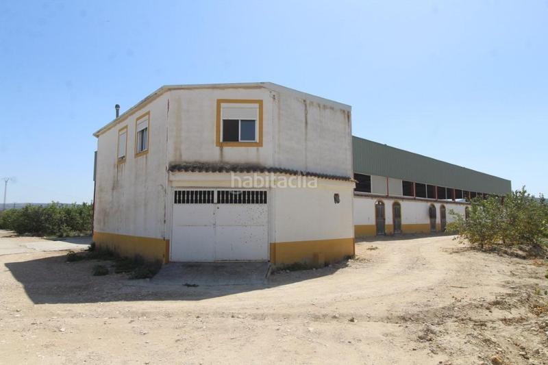 Foto c8516211-c26f-4e0d-8a9d-7be9b0576aa9. Masía finca con explotación agrícola en Desamparados - Hurchillo - Torremendo Orihuela