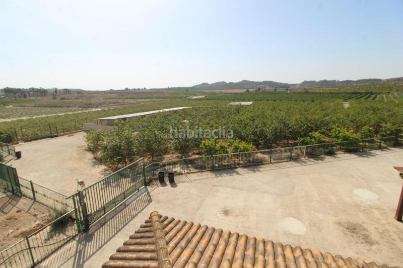 Foto ed12fcf7-5d1b-4173-8e95-45db43c811ec. Masía finca con explotación agrícola en Desamparados - Hurchillo - Torremendo Orihuela